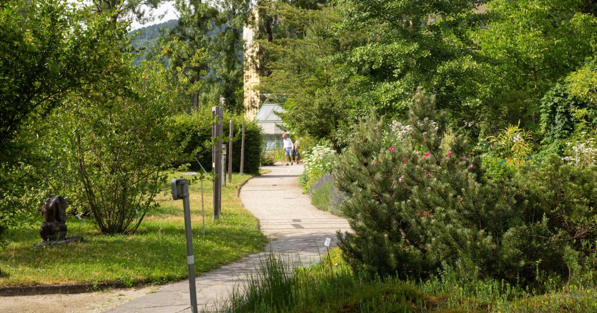 Botanischer Garten Salzburg © Silja Parke - Wilde Möhre Blog